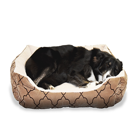 Dog Beds