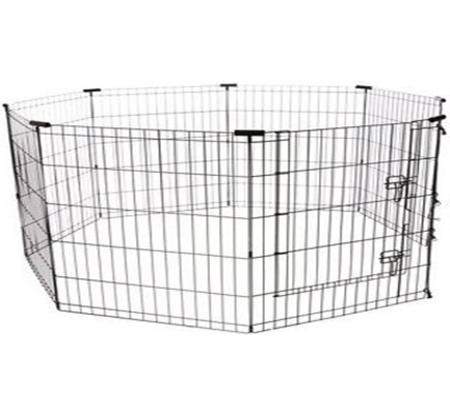 Exercise Pen