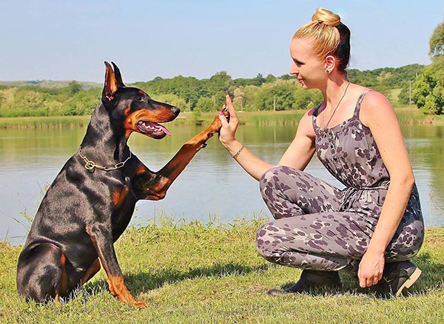  Doberman_with_family